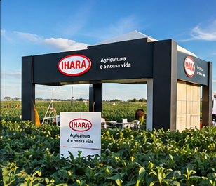 Paisagem agrícola verde, referência ao setor do agronegócio